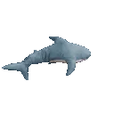 blahajspin