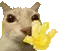 CatWave