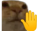 Halt