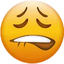 yellow_yman_lip_bite