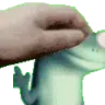 PetTheLizard