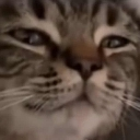 emoji_442 Discord emoji