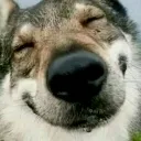 squee