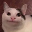 belugakyahuavmro
