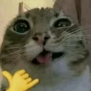 emoji_3