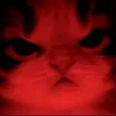 cat_angry