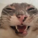 ehehehe