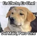 cine_malo