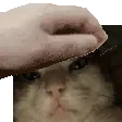 CLabcpat