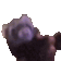 ELY_ferretdance