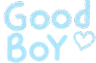 goodboy