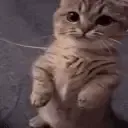 errr