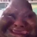 wauh wauh