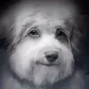 fuhedupdog