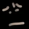 concern
