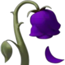 purple_wilted_rose