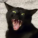 aanyx aanyx