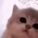dubbsyjam