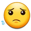 9worriedface_1f61f