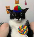 GoofyCat custom emote from COMMEZARS