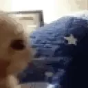 sideEyeCat