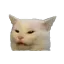 smudge