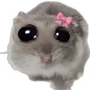 bbg