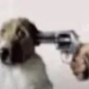 Guntothehead