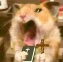 75126ratprayge