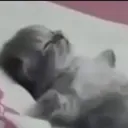 shleepy