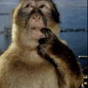 sillymonke_Dot_GG_femboiss Discord Emoji - Femboy Order・Femboys・Furries・LGBTQ・Roblox ・Tomboys ・Gay・Femboy Tag・Gay Tag・Twink Tag・Minecraft