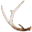 antlerl