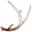 antlerr