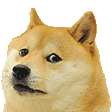 Doge_Bye