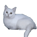 :xx_gifcatleave: