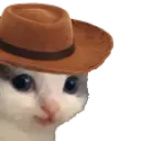 cat_cowboy_howdy