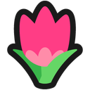 legacyuser