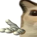 catcat1