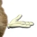 catcat3