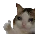 emoji_20