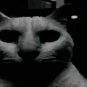 cathadenough