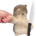 catkill