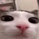 plink