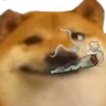 dogedoobie