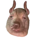 FusterHorse
