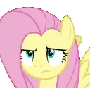 o_3fluttershy
