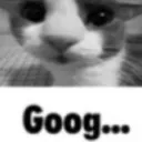 Goog