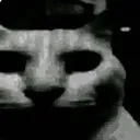 cat_depressed