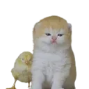 channels4_profile_5removebgprevi