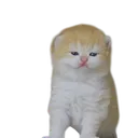 channels4_profile_5Photoroom